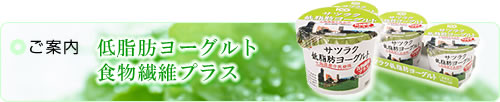 ���ē� �ᎉ�b���[�O���g�H���@�ۃv���X