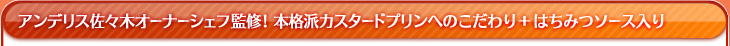 アンデリス佐々木オーナーシェフ監修!本格派カスタードプリンへのこだわり＋ほろにがはちみつソース入り