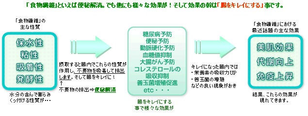 「食物繊維」といえば便秘解消。でも他にも様々な効果が！そして効果の幹は「腸をキレイにする」事です。