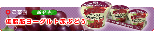 ご案内 低脂肪ヨーグルト赤ぶどう
