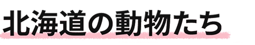 北海道の動物たち