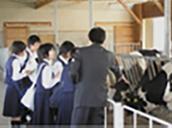 1.牛の館（牛舎）