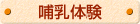 哺乳体験