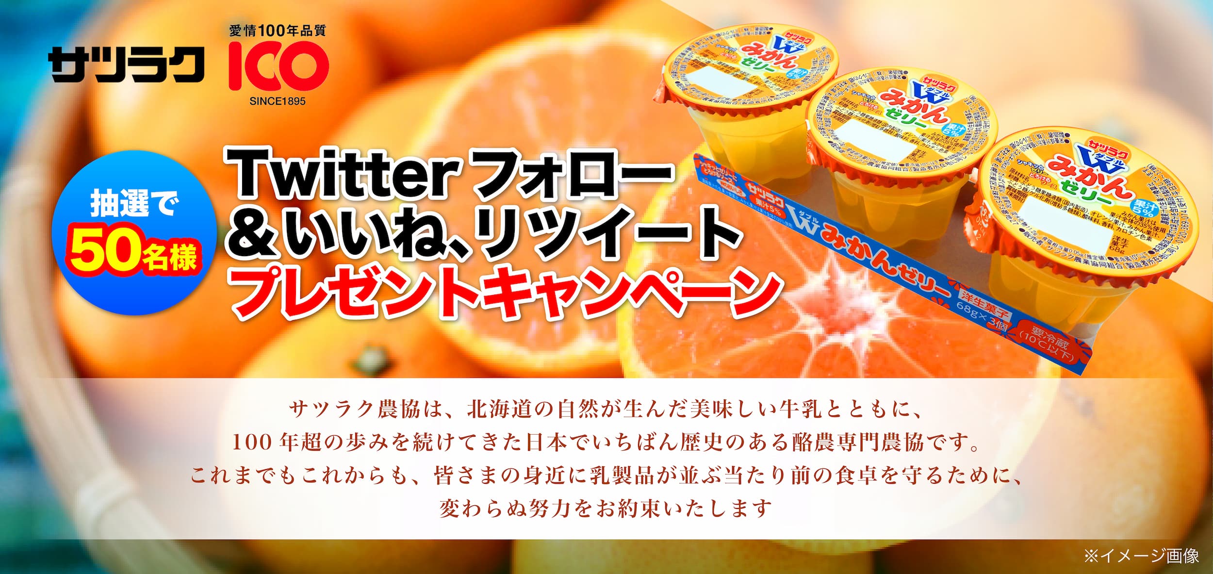 Twitterのフォローといいねでプレゼントキャンペーン