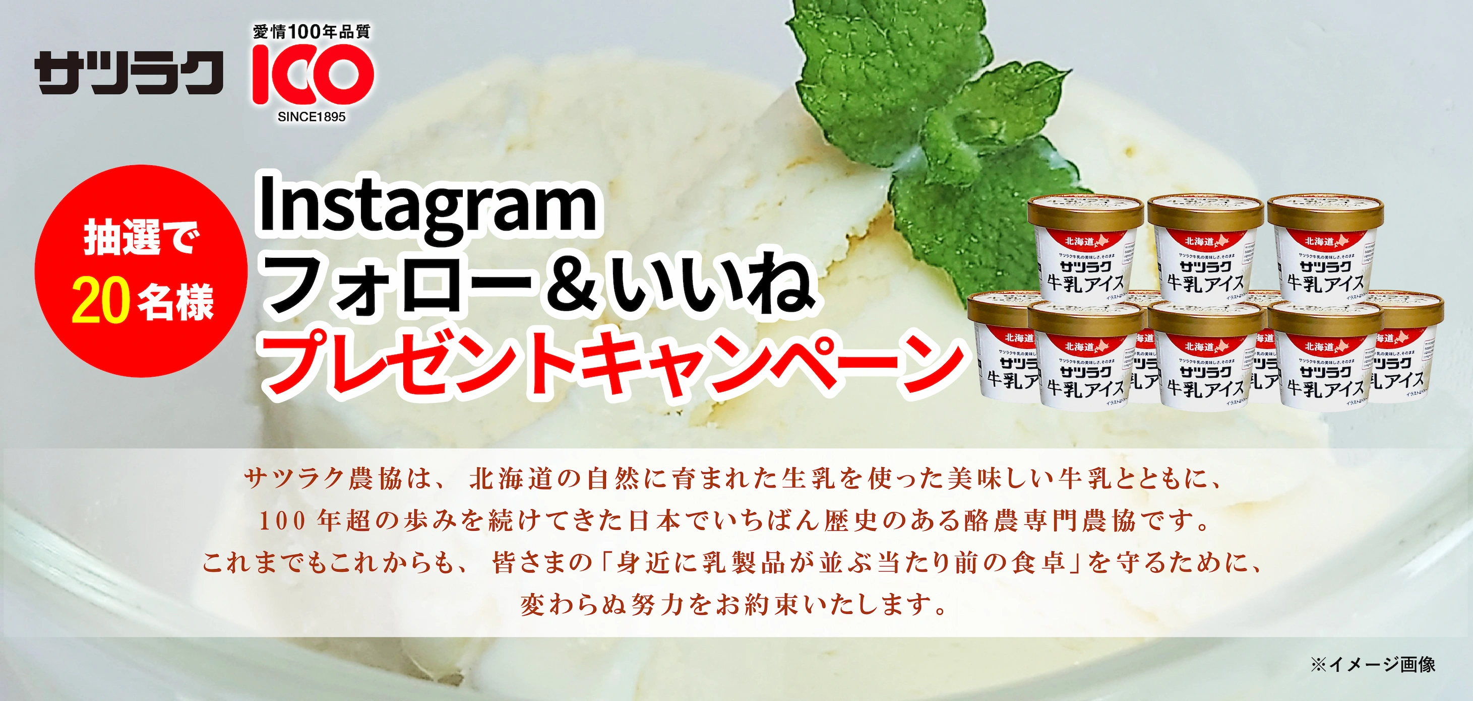Instagram フォロー&いいね プレゼントキャンペーン