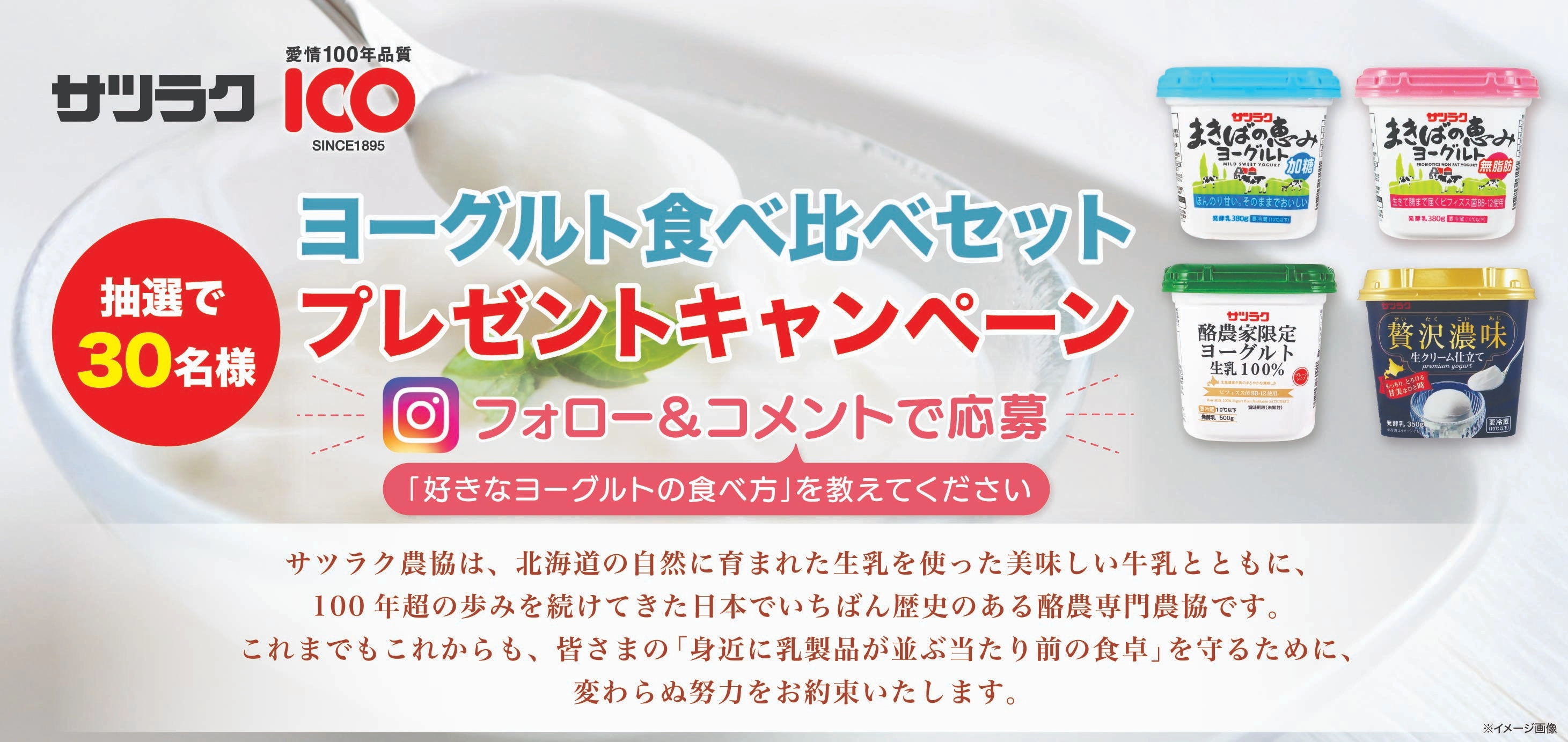 ヨーグルト食べ比べセット プレゼントキャンペーン