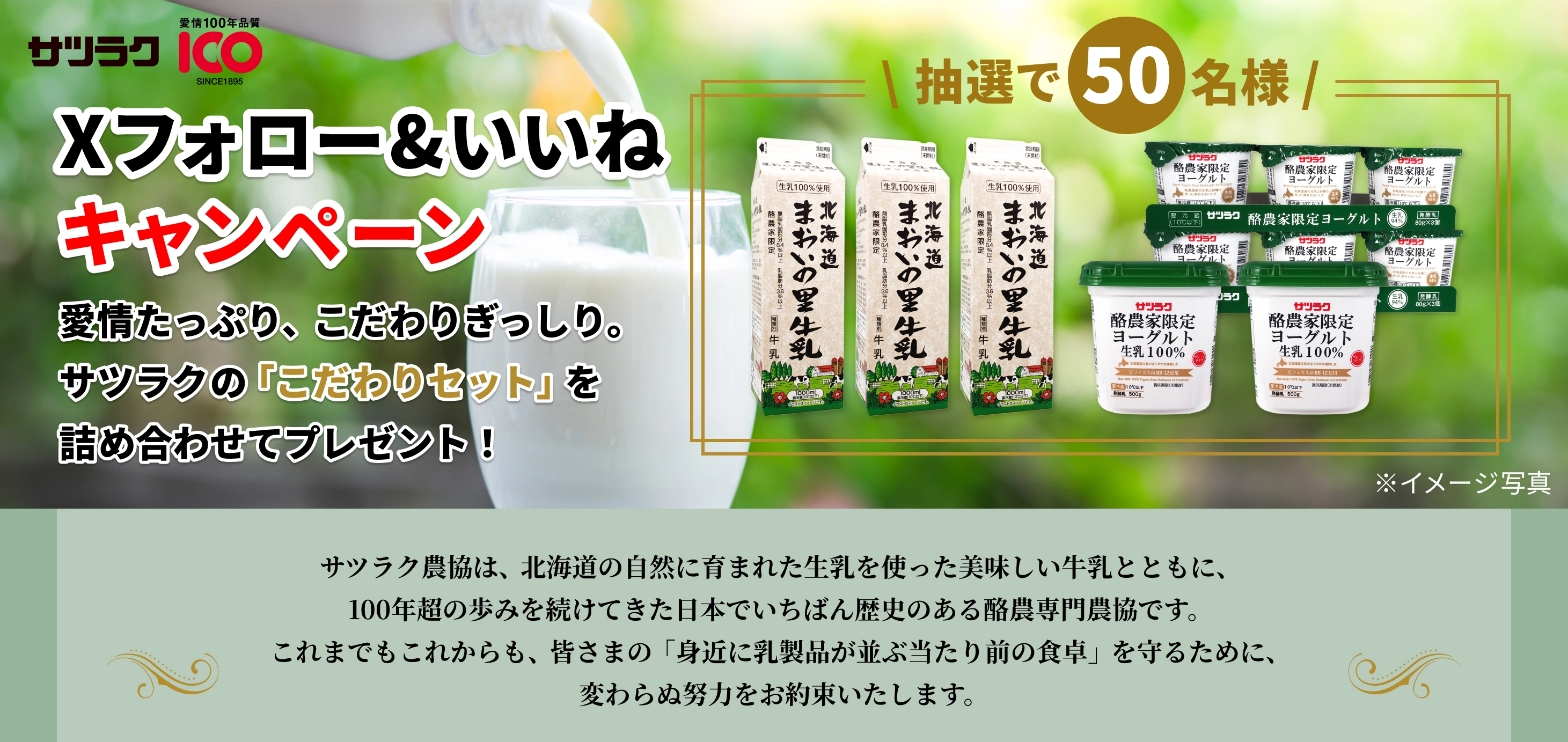 Xフォロー&いいね!プレゼントキャンペーン